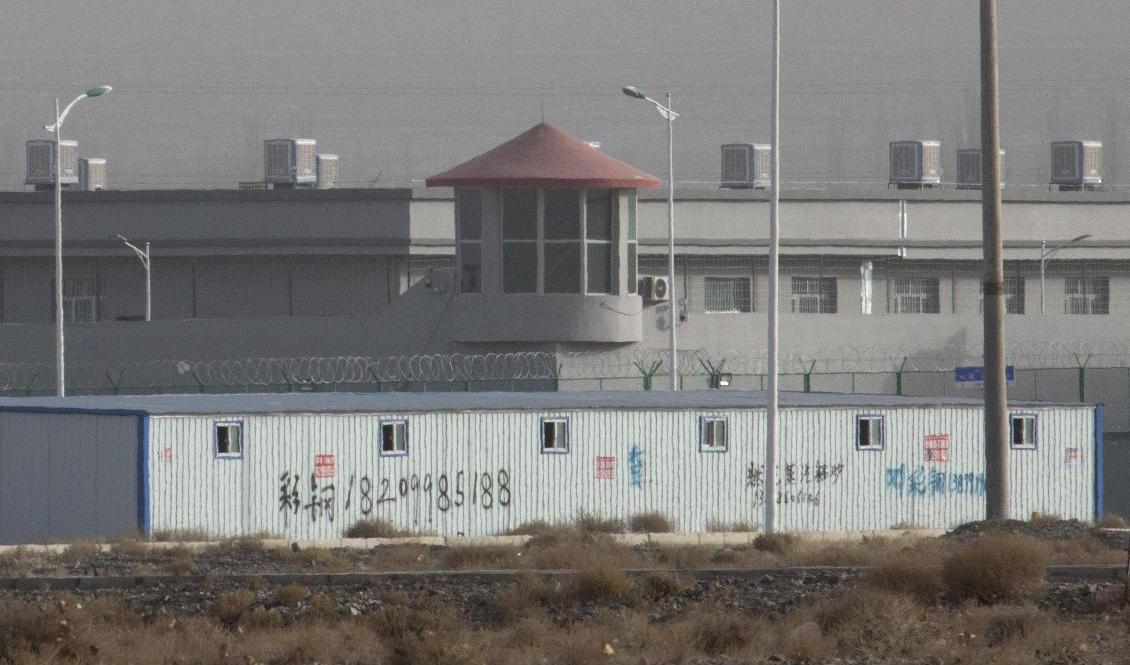 
En anläggning i regionen Xinjiang i nordvästra Kina där kommunistregimen misstänks hålla muslimska uigurer fängslade. Arkivbild. Foto: Ng Han Guan/AP/TT                                            