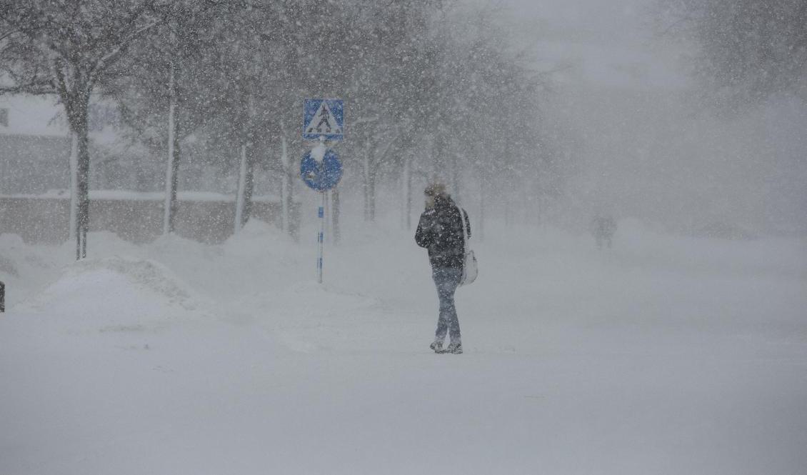 
Varning för mycket snö i norr. Arkivbild. Foto: Martina Holmberg/TT                                            