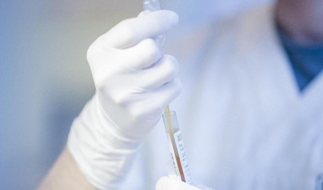 FHM vill införa krav om uppvisande av negativt covid-19-test för inresa i Sverige. Arkivbild. Foto: Stian Lysberg Solum/NTB/TT