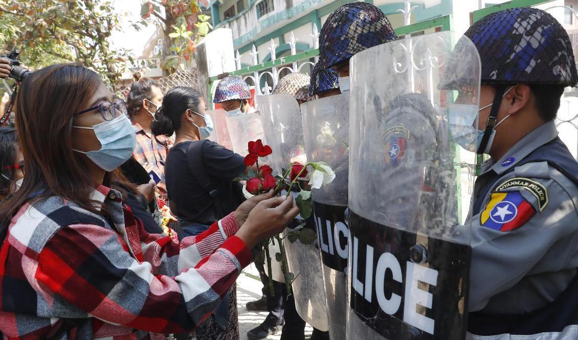 Demonstranter försöker under fredagens demonstrationer i Myanmar ge polisen röda blommor, symbolfärgen för den störtade ledaren Aung San Suu Kyis parti NLD. Foto: AP/TT