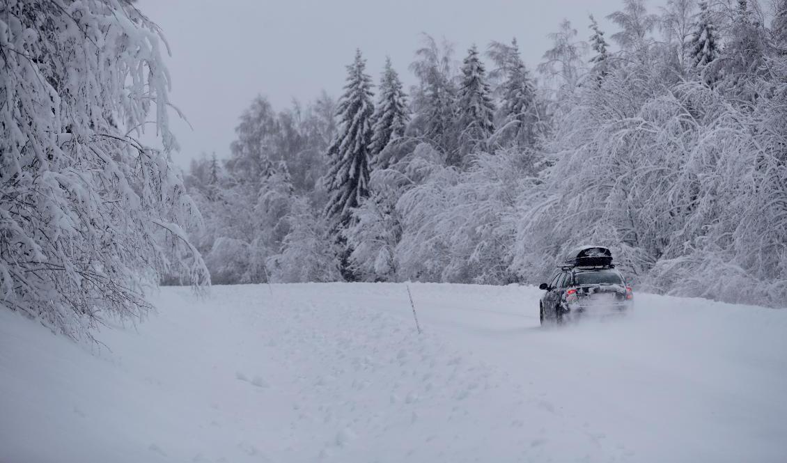 Snö i norra Värmland väntas under torsdagen. Arkivbild. Foto: Mats Andersson/TT