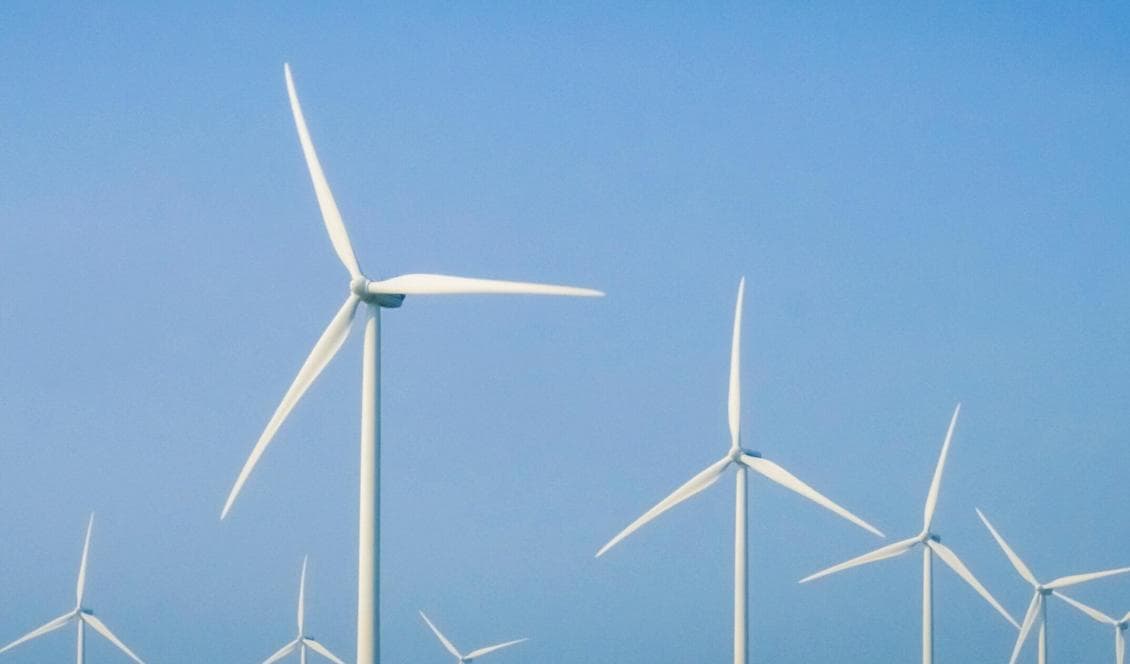 Moderaterna säger nej till regeringens förslag om ny subvention till havsbaserad vindkraft. Foto: Bilbo Lantto