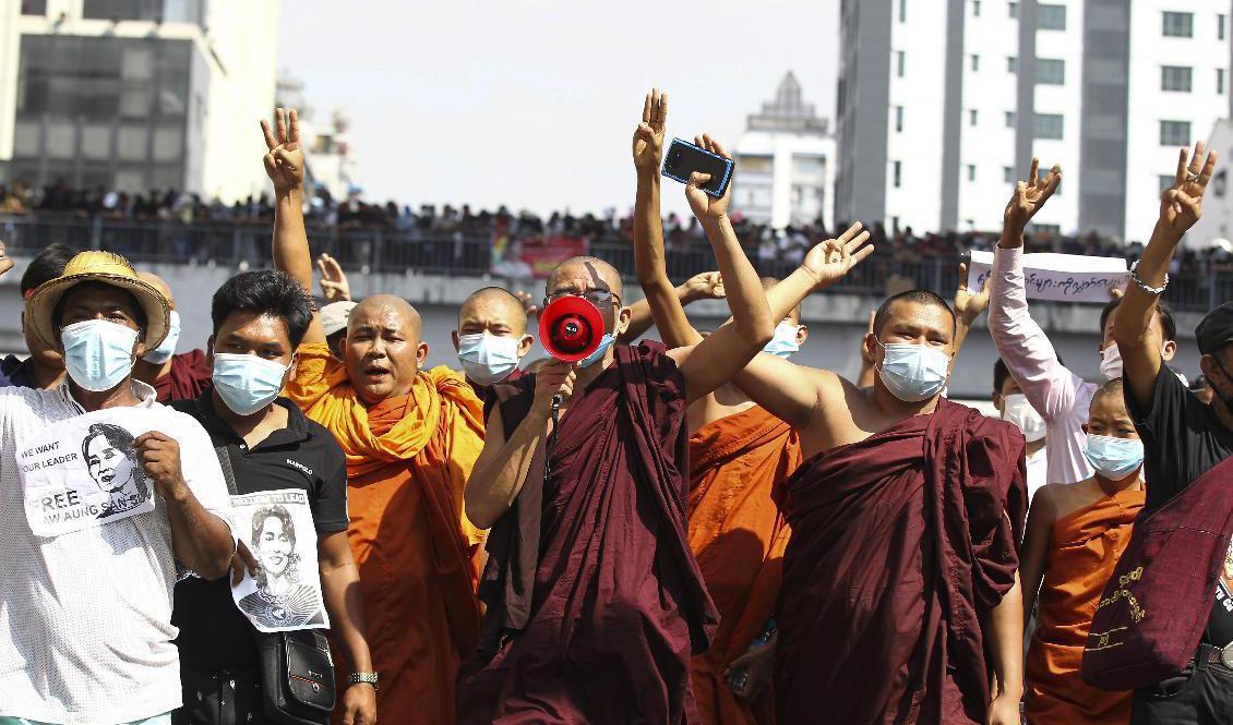 Buddistmunkar protesterar i Myanmars största stad Rangoon. Bilden är från den 8 februari. Foto: AP/TT