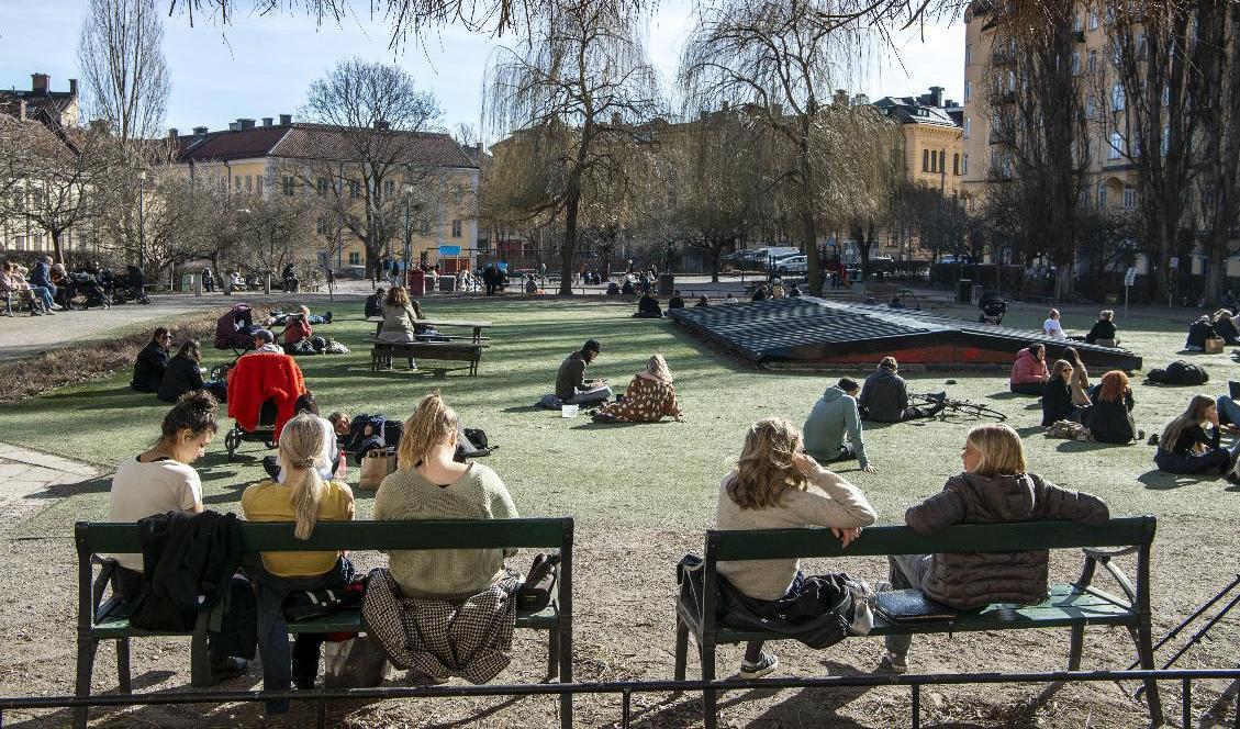 
Stockholmare njuter av vårvärmen vid Nytorget. Arkivbild. Foto: Malin Hoelstad/SvD/TT                                            