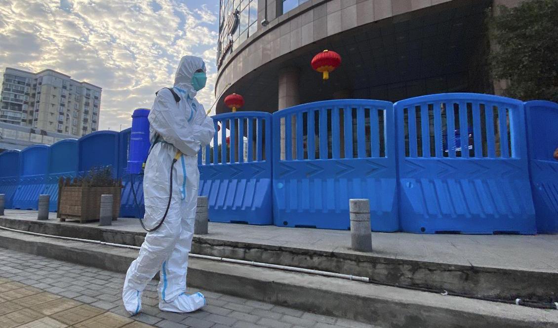 Ett WHO-team befann sig i kinesiska Wuhan några veckor under januari och februari för att spåra coronavirusets ursprung. Arkivbild. Foto: Ng Han Guan/AP/TT