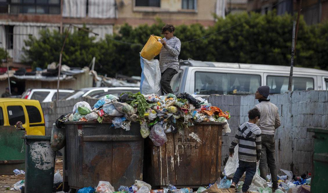 Barn letar efter något av värde i soporna bredvid en marknad i Beirut. Foto: Hassan Ammar/AP