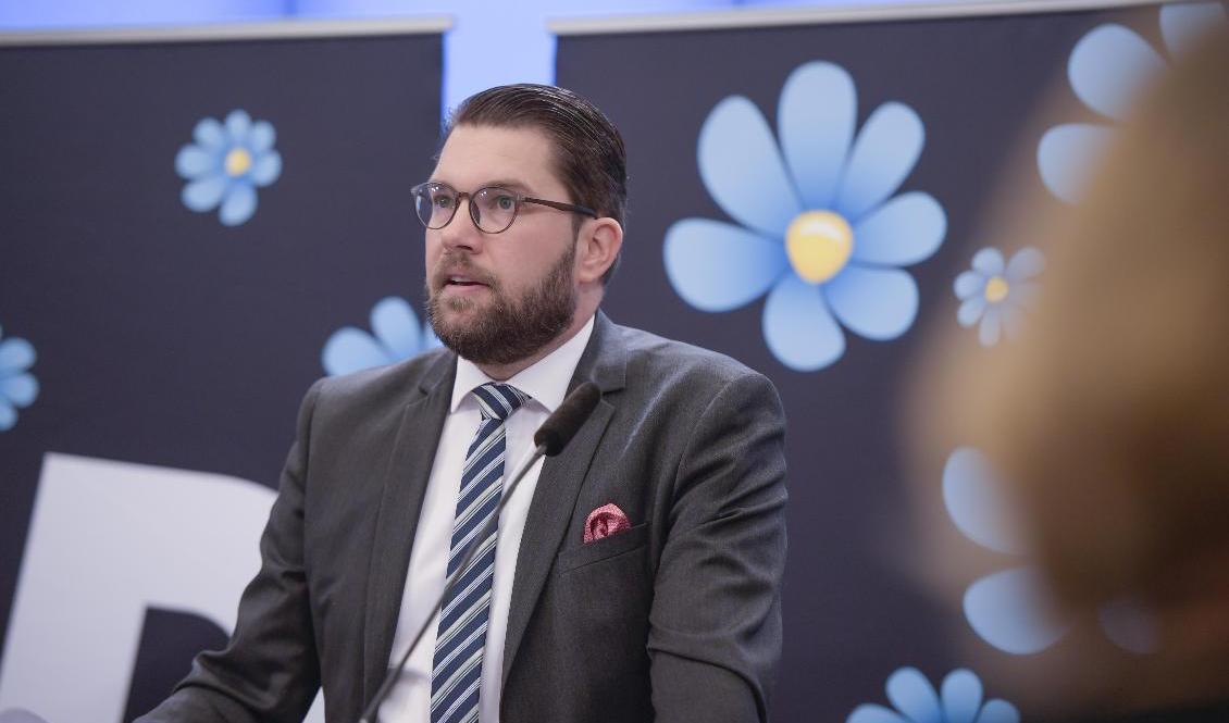
Sverigedemokraternas partiledare Jimmie Åkesson vill strypa bidragen för personer som inte är svenska medborgare. Arkivbild. Foto: Amir Nabizadeh/TT                                            