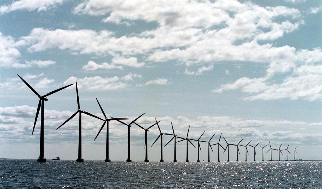 




Allt fler vindkraftsparker planeras till havs där det blåser oftare, vinden är starkare och de kommer längre från bebyggelsen. Men att bygga och underhålla vindkraftverk till havs är än så länge mycket dyrare än på land. Foto: 
Soeren Bidstrup/AFP via Getty Images



                                                                                                                                                                                