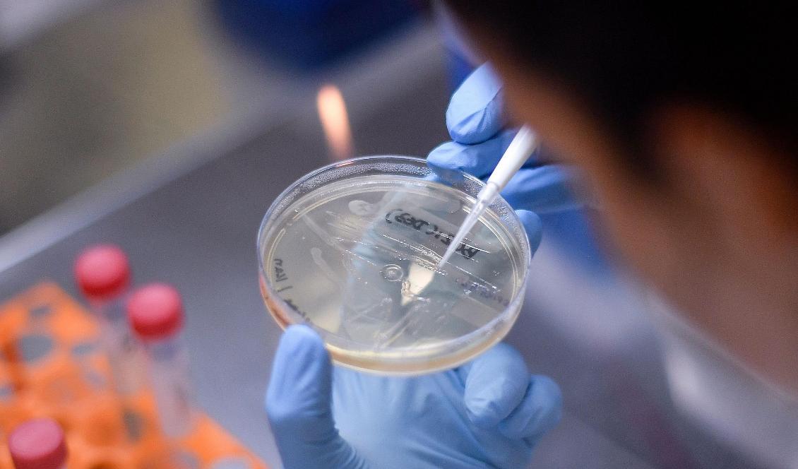 En kinesisk man har dömts till fängelse efter att ha stulit affärshemligheter för att sälja dem till Kina. Foto: Douglas Magno/AFP via Getty Images