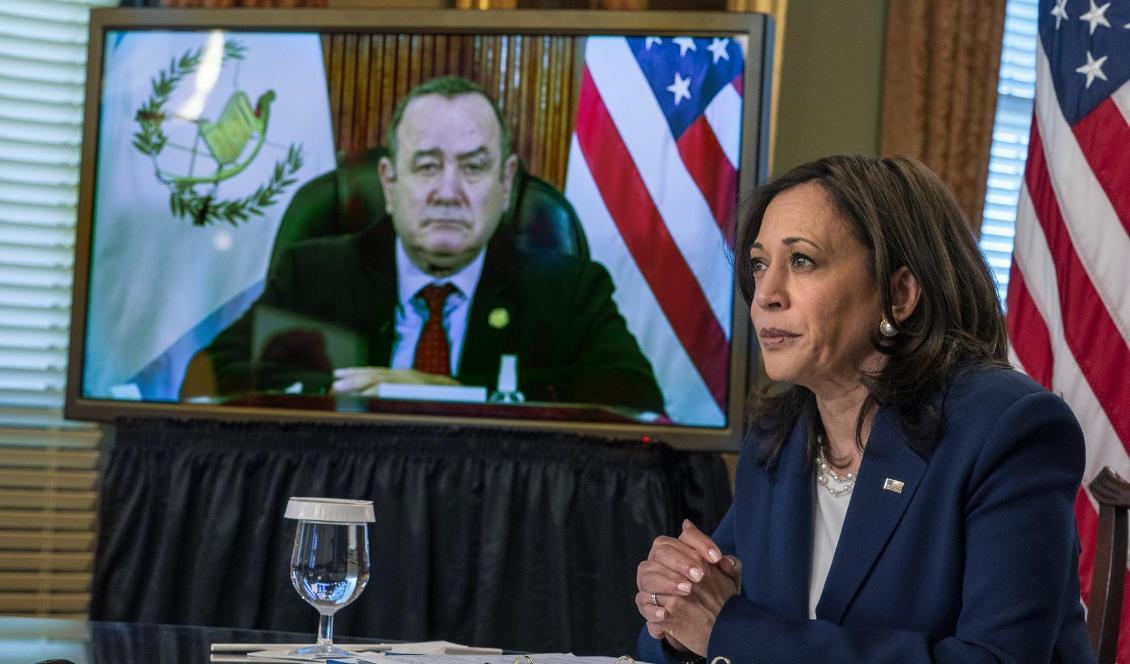 USA:s vicepresident Kamala Harris under det virtuella mötet med Guatemalas president Alejandro Giammattei i måndags. Foto: Jacquelyn Martin/AP/TT