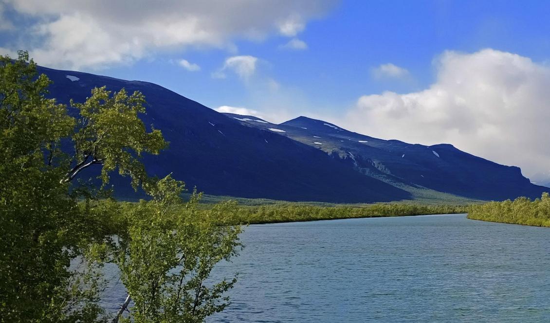 Allt fler markägare är positiva till att etablera naturreservat på sina marker. Foto: Bilbo Lantto