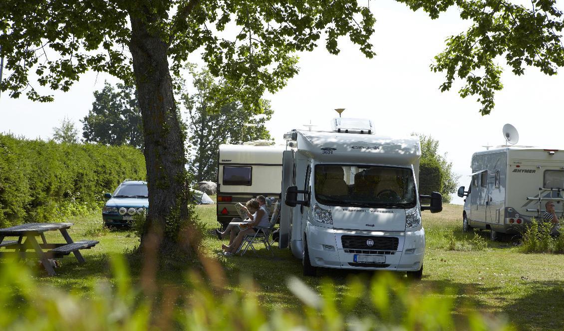 
Svenska campingplatser har klarat sig relativt bra under pandemin jämfört med andra turistbranscher. Foto: Rob Vanstone/SCR Svensk Camping                                            