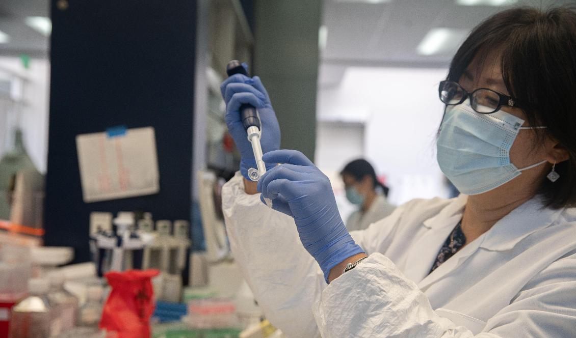 Amerikansk forskning har visat att viruset som orsakar covid-19 ger långlivad respons i en viss celltyp i immunförsvaret. Foto: Ariana Drehsler/AFP via Getty Images