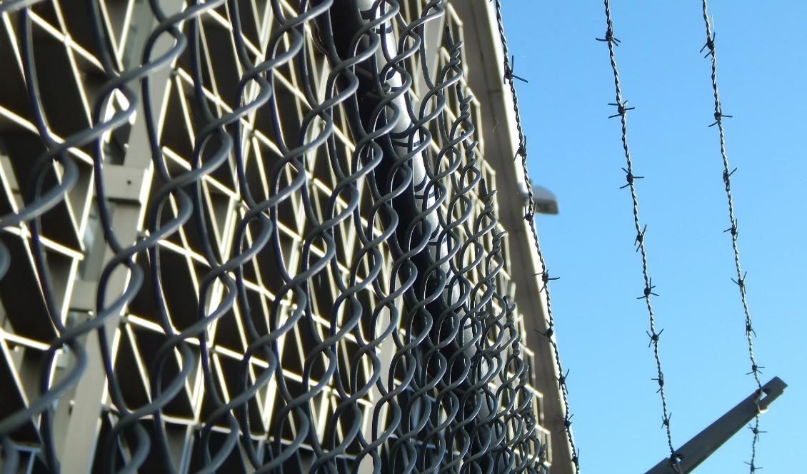 En granskning som Acra Publica har gjort visar att var femte övervakare har dömts för brott. Foto: Erika Wittlieb/Pixabay