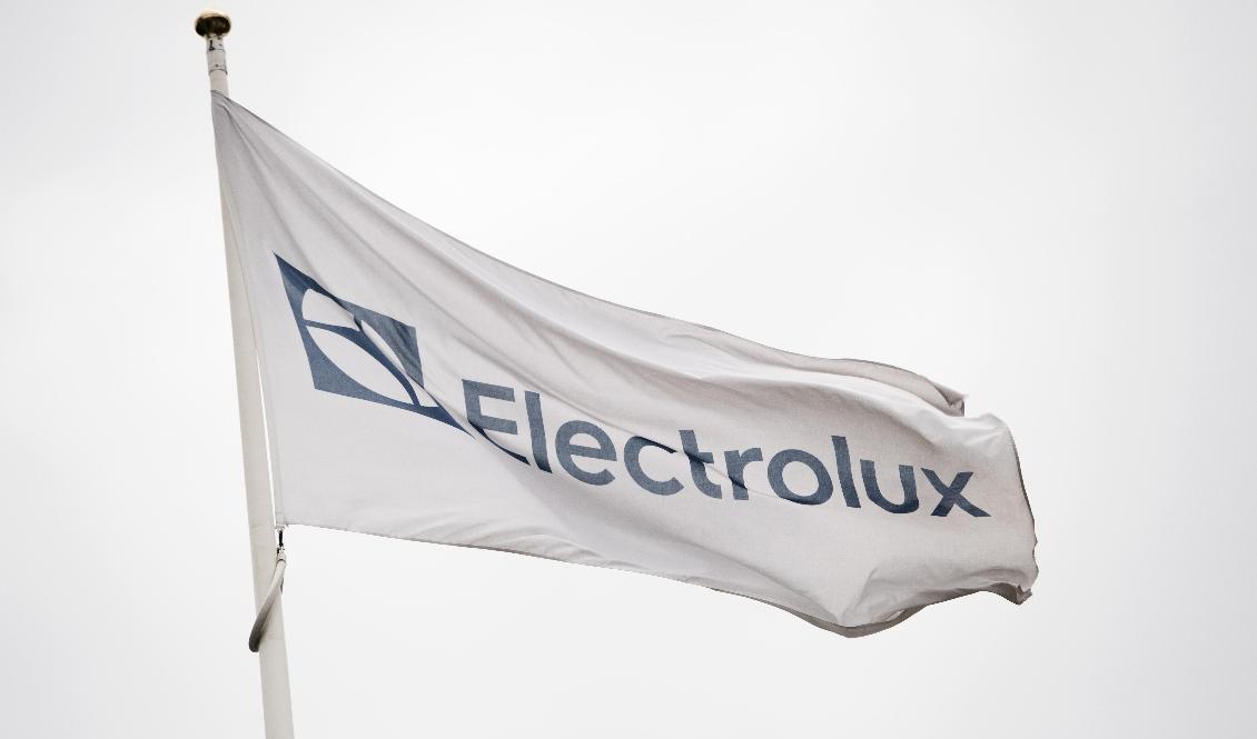 Electrolux, tillverkare av vitvaror och hushållsapparater redovisar kvartalssiffror. Arkivbild. Foto: Henrik Montgomery/TT