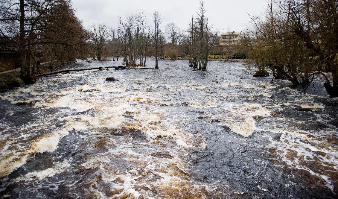 Mörrumsån. Arkivbild. Foto: Patric Söderström/TT