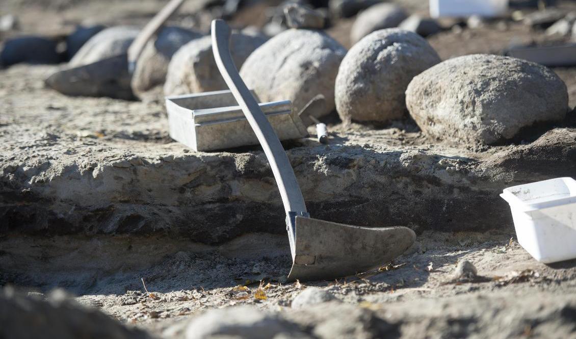 Resterna av en fornborg som kan vara Ölands äldsta har hittats. Bilden är från en annan arkeologisk utgrävning. Arkivbild. Foto: Fredrik Sandberg/TT