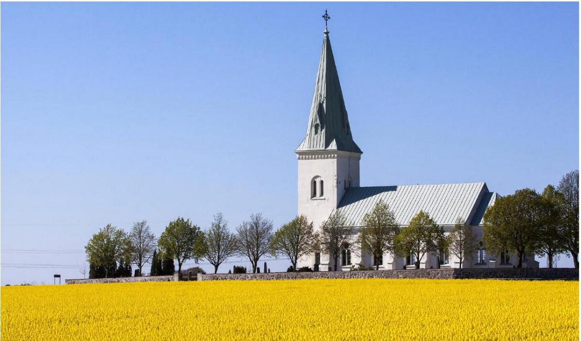 Många religioner sprider glädje men har lidandet som en grundläggande del i sin lära. Kan det vara så att glädje springer ur lidande och ansvar? Foto: Shutterstock