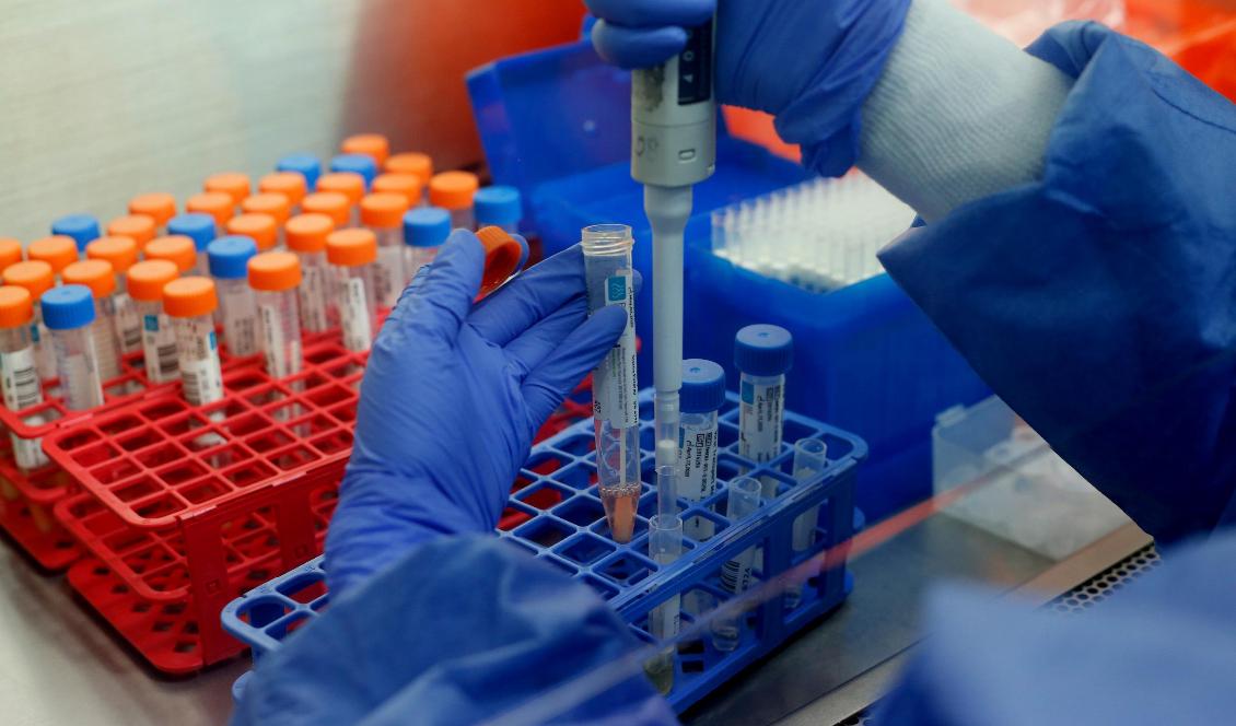 Foto: Gil Cohen-Magen/AFP via Getty Images