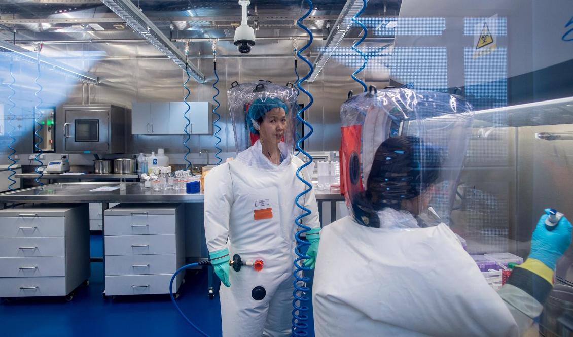 Den kinesiska virologen Shi Zhengli (t.v.) fotograferad i P4-laboratoriet i Wuhan, den 23 februari 2017. Foto: Johannes Eisele/AFP via Getty Images