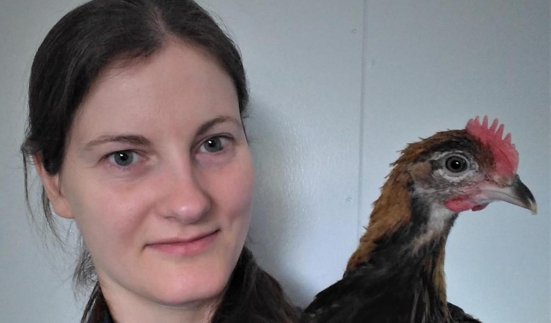 Diana Rubene, en av forskarna bakom en studie om djungelhöns vid Sveriges lantbruksuniversitet. Foto: Sveriges lantbruksuniversitet