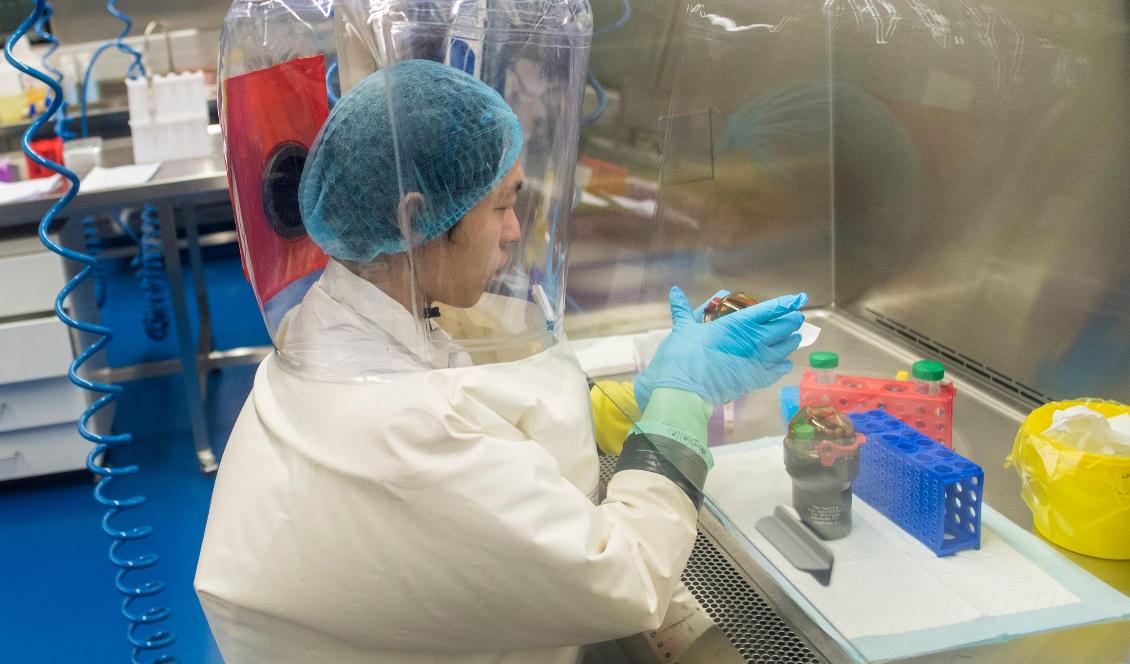 En arbetare på P4-laboratoriet i Wuhan, den 23 februari, 2017. Foto: Johannes Eisele/AFP via Getty Images
