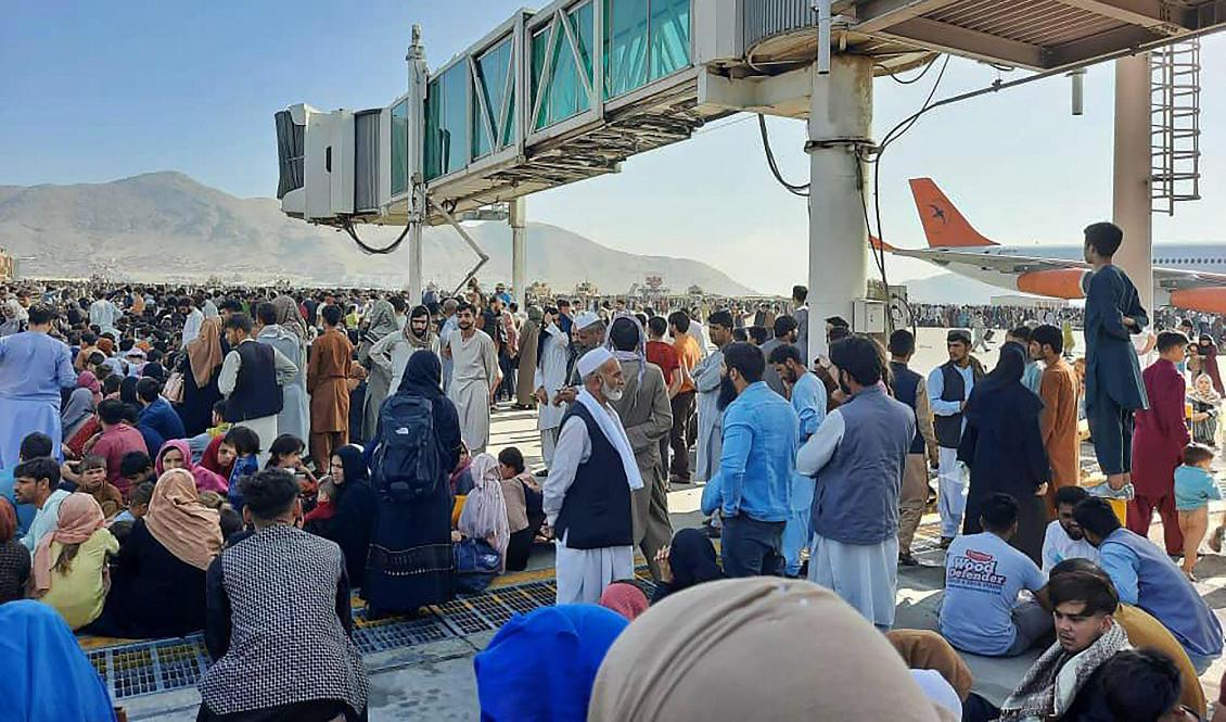 
Folkmassor söker sig till Kabuls flygplats, efter att talibanerna intagit Afghanistans huvudstad. Foto: AFP/TT                                            