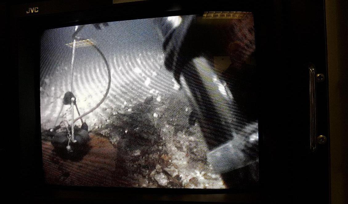 Undersökning av vraket Skytteren, som ligger på 74 meters djup utanför Lysekil. Foto: Frida Åberg/Havs- och vattenmyndigheten/TT