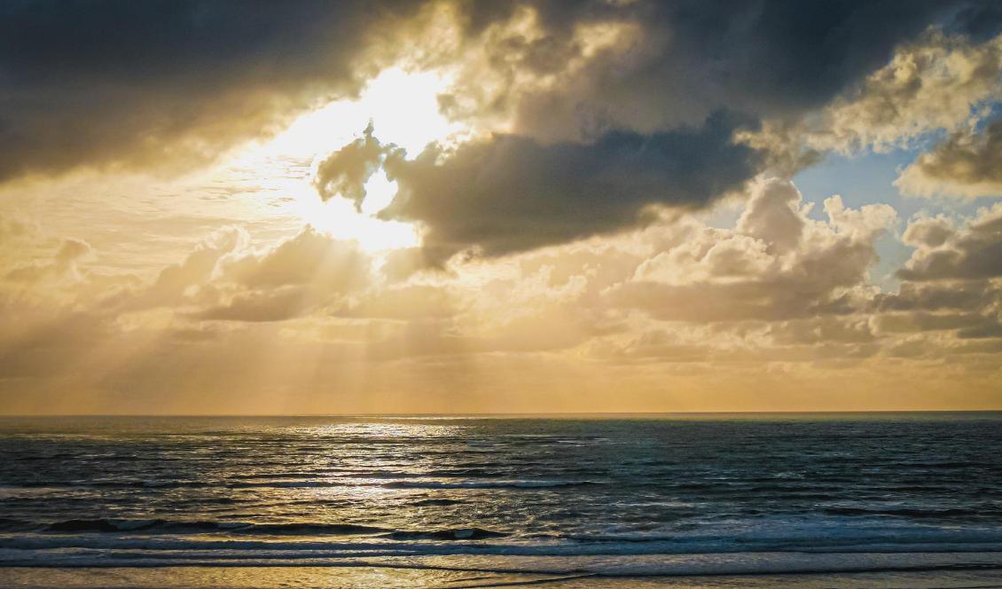 Musiker under renässansen och barocken kunde uppleva att de fick inspiration från Gud eller andra världar. Foto: Bilbo Lantto