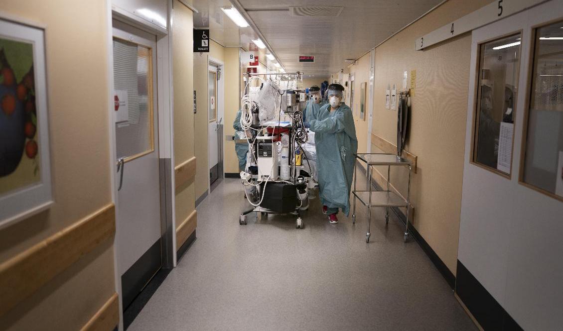 Personal sliter på en intensivvårdsavdelning under pandemin. Arkivbild. Foto: Björn Larsson Rosvall/TT