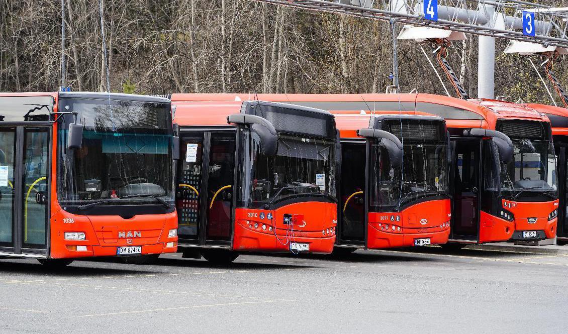 Oslobussar står parkerade på rad. Arkivbild. Foto: Lise Åserud/NTB/TT
