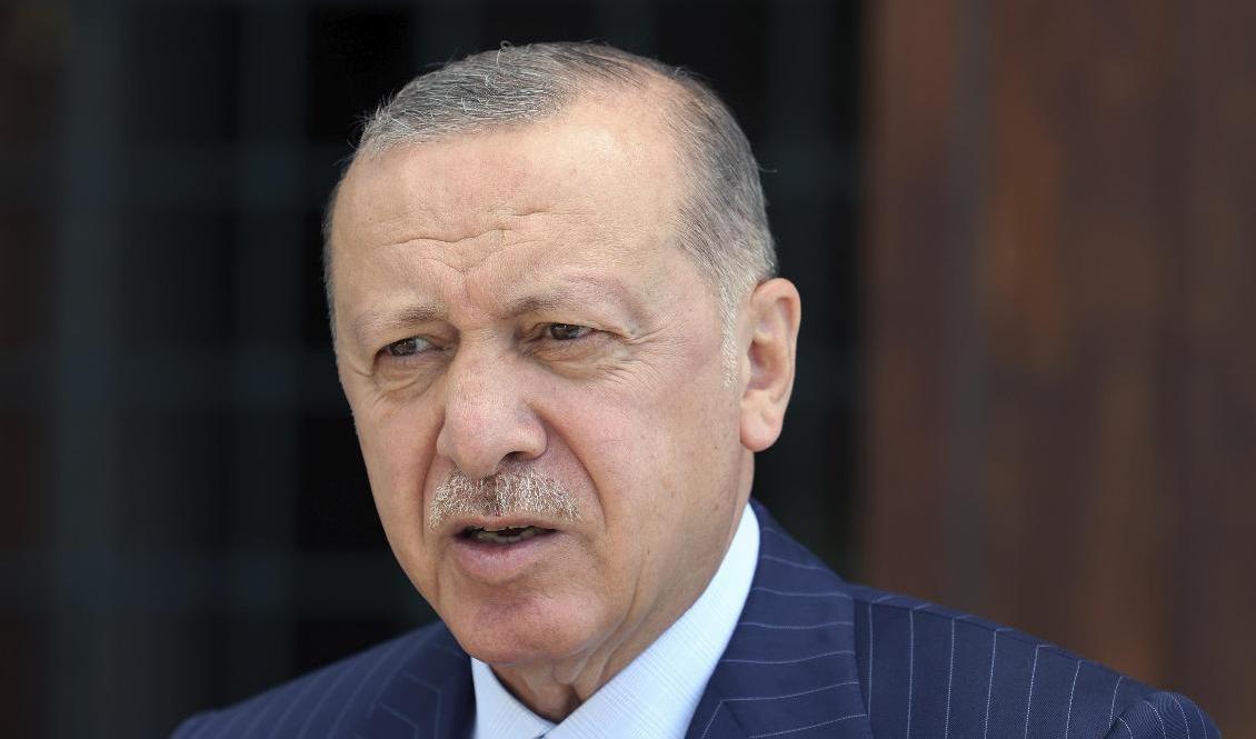 Turkiets president Recep Tayyip Erdogan. Arkivbild. Foto: AP/TT