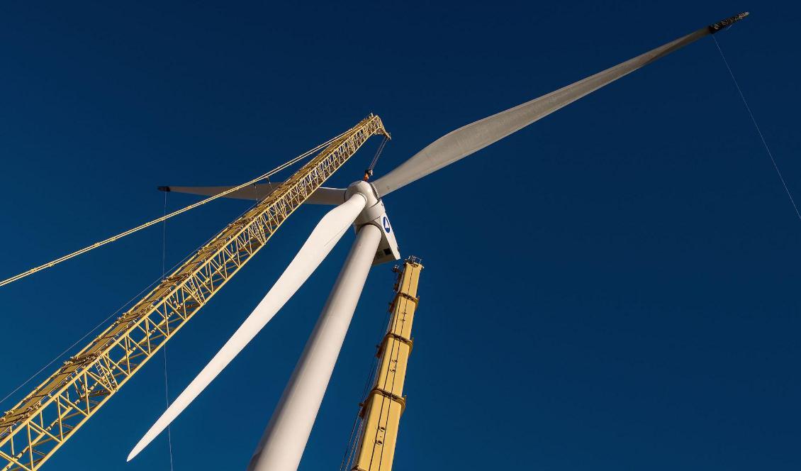 De vindkraftverk som idag planeras på land är ofta 250–290 meter höga med en rotorbladsdiameter på cirka 200 meter. Till havs kan de få en höjd på upp till 350 meter, att jämföra med Eiffeltornet som är 325 meter högt. Foto: Philippe Huguen/AFP via Getty Images