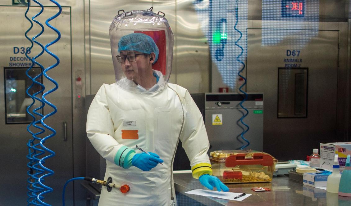 En forskare står vid en bur med möss inuti P4-laboratoriet vid Wuhans virologiska institut, den 23 februari 2017. Foto: JOHANNES EISELE/AFP via Getty Images
