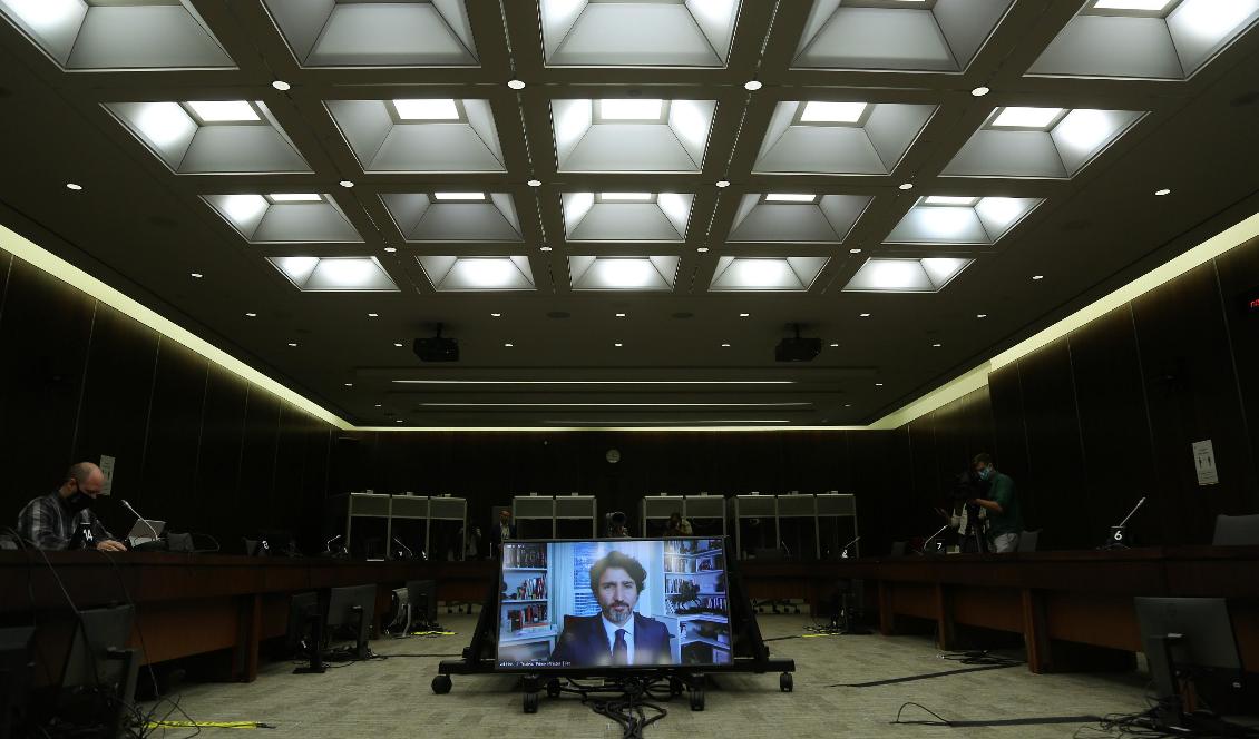 Kanadas president Justin Trudeau vittnar inför underhusets finansutskott vid en utfrågning om utförsäljningar av statliga verksamheter, Ottawa, 30 juli 2020. Foto: Dave Chan/AFP via Getty Images