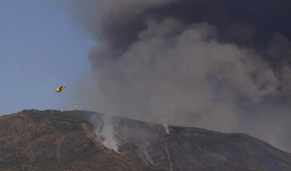Brandbekämpningsplan dumpar vatten över branden i Sierra Bermeja-bergen i Spanien. Foto: Alex Zea/AP/TT