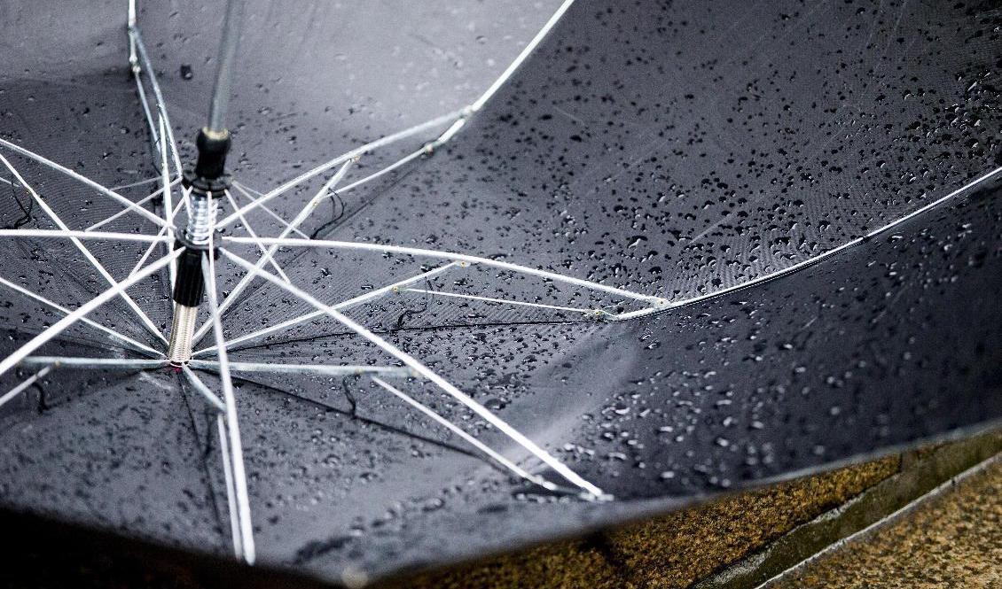 "Det kanske blir svårt att använda paraply mot regnet", säger SMHI:s meteorolog. Foto: Vegard Wivestad Grøtt/NTB/TT