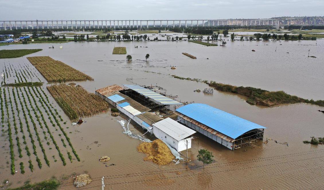 Översvämningar i staden Hejin i kinesiska Shanxiprovinsen. Foto: Zhan Yan/Xinhua via AP/TT