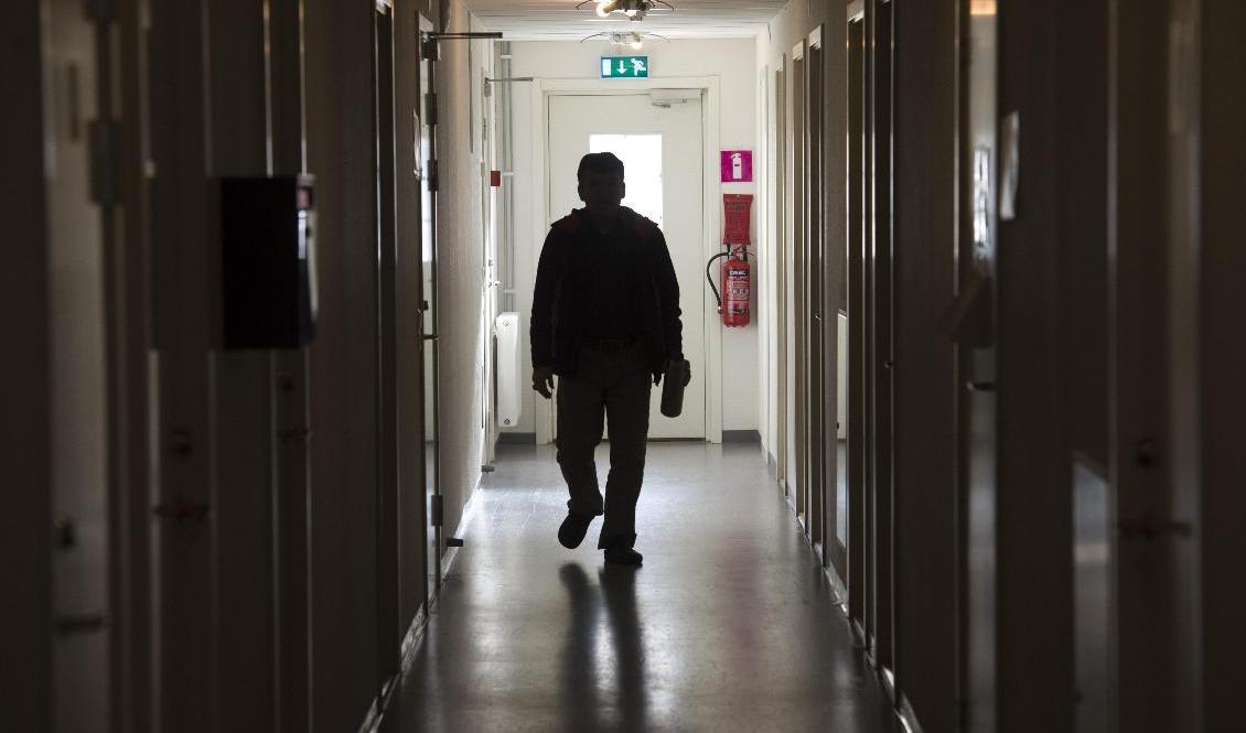 En asylsökande man i korridoren i ett flyktingboende i Pajala. Arkivbild. Foto: Fredrik Sandberg/TT