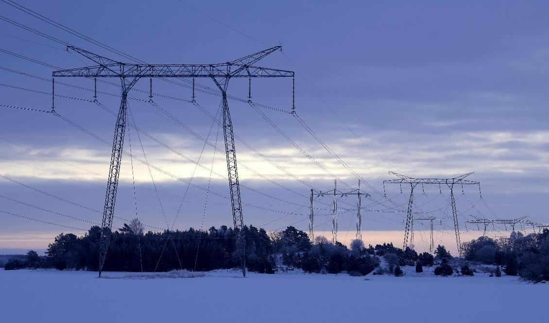 Till vintern fruktar många höga elnotor. Arkivbild. Foto: Janerik Henriksson/TT
