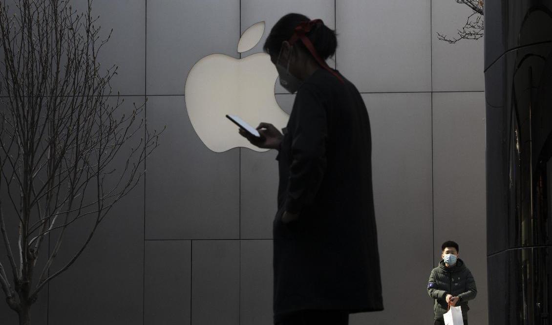 Apple väljer telefoner framför surfplattor. Arkivbild. Foto: Ng Han Guan/AP/TT