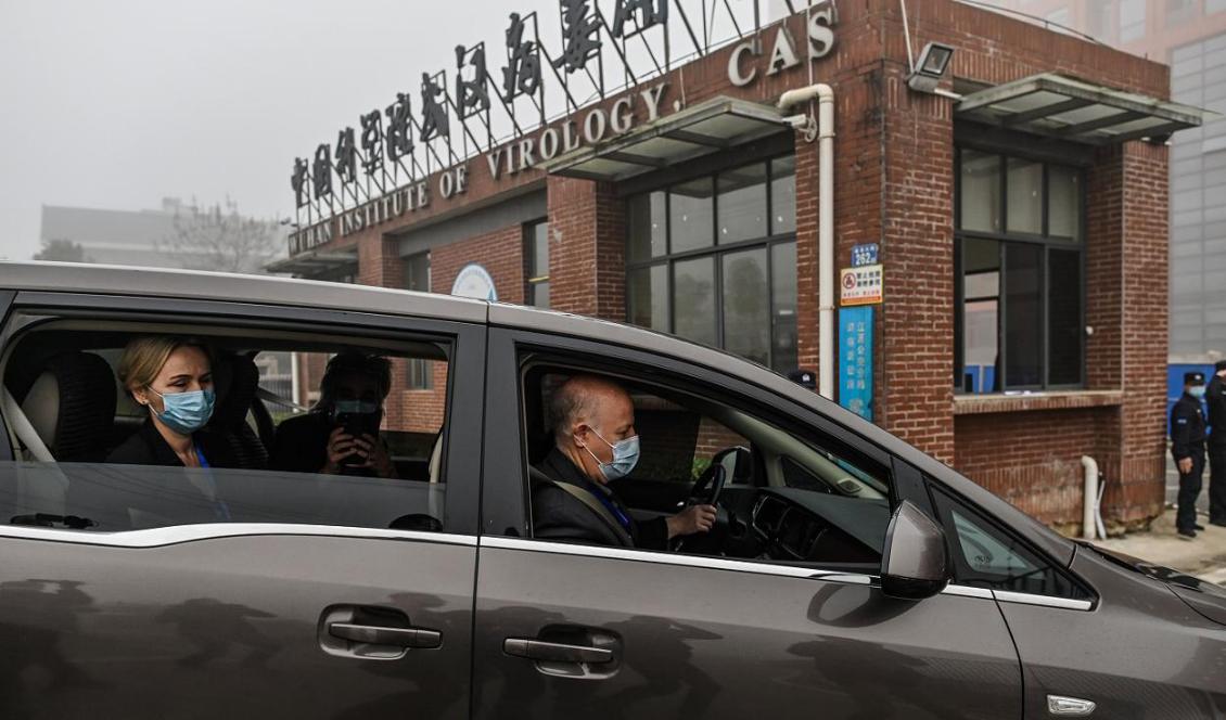 Peter Daszak, Thea Fischer och andra medlemmar ur WHO:s team för att undersöka virusets ursprung anländer till Wuhan Institute of Virology den 3 februari 2021. Foto: Hector Retamal/AFP via Getty Images