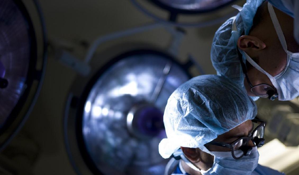 
En läkare syr fast en njure under en njurtransplantation vid John Hopkins Hospital, den 26 juni 2012 i Baltimore, Maryland. Foto: Brendan Smialowski/AFP/Getty Images                                            