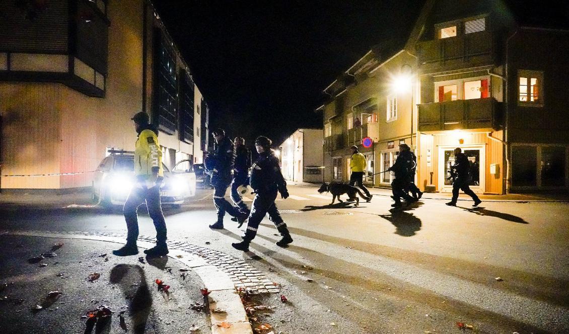 
Polis söker genom Kongsberg under onsdagskvällen. Foto: Håkon Mosvold Larsen/NTB/TT                                            