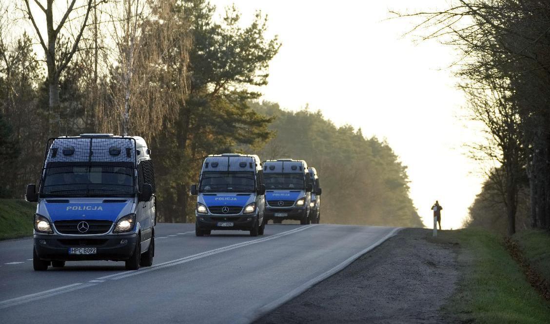 Polska polisbussar på väg in i det avstängda gränsområdet mot Belarus på tisdagen. Foto: Czarek Sokolowski/AP/TT