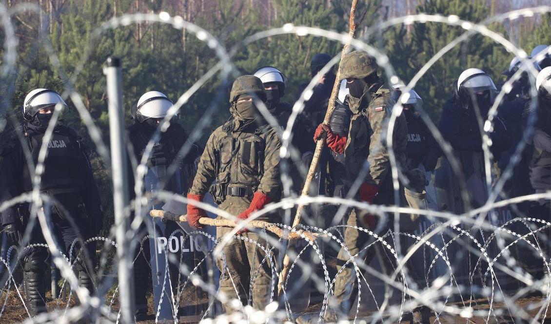 Polska poliser och gränsvakter vid gränsen mot Belarus tidigare i veckan. Foto: Leonid Shcheglov/AP/TT