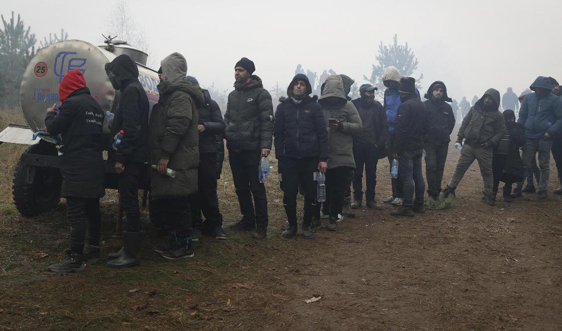 Migranter köar för att få dricksvatten vid gränsen mellan Belarus och EU-landet Polen. Foto: Ramil Nasibulin/AP/TT