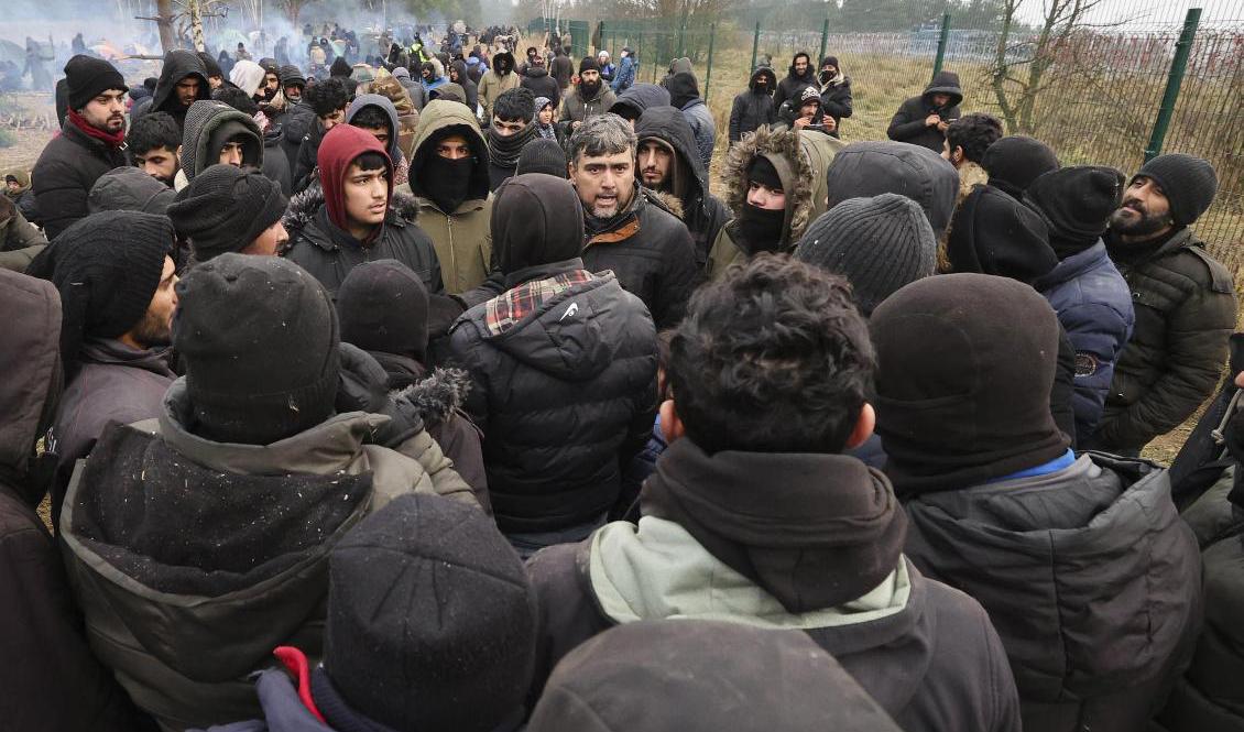 Migranter i Kuznica, en gränspassage mellan Belarus och Polen. Enligt Polen har migranter på den belarusiska sidan körts i väg med buss från gränsen. Foto: Maxim Guchek/Beita/AP/TT