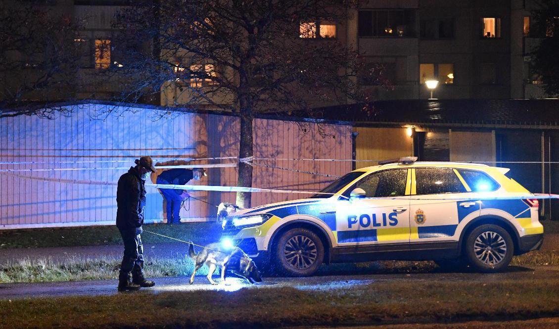 Polisen på plats med hundar efter en skjutning i Jordbro i oktober. Arkivbild. Foto: Anders Wiklund/TT