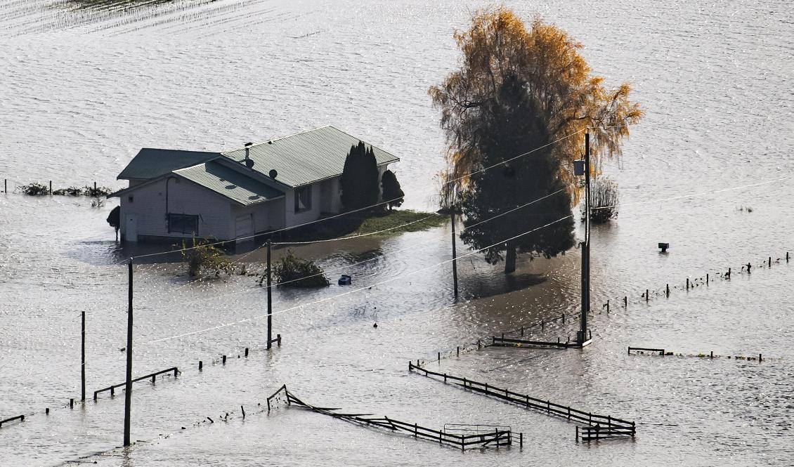 Ett hus står under vatten i Abbotsford utanför Vancouver i British Columbia. Foto: Darryl Dyck/The Canadian Press/AP/TT
